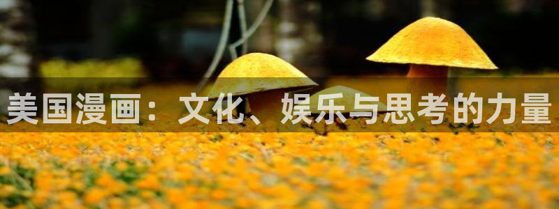 虫虫漫画官方正版下载安装免费：美国漫画：文化、娱乐与思考的力量