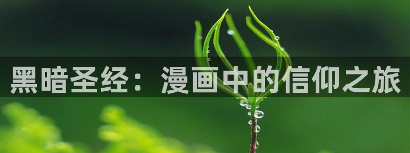 动漫樱花背景：黑暗圣经：漫画中的信仰之旅