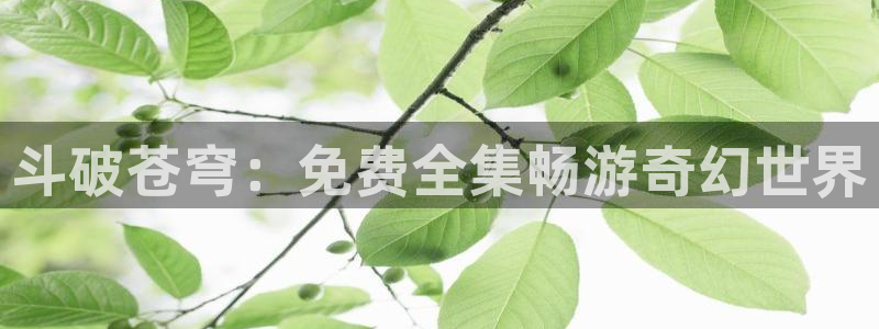 虫虫漫画未删减的动漫：斗破苍穹：免费全集畅游奇幻世界