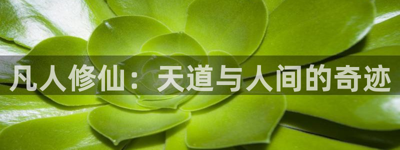 五等分的花嫁虫虫漫画观看：凡人修仙：天道与人间的奇迹